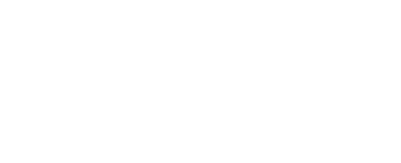 Swintt